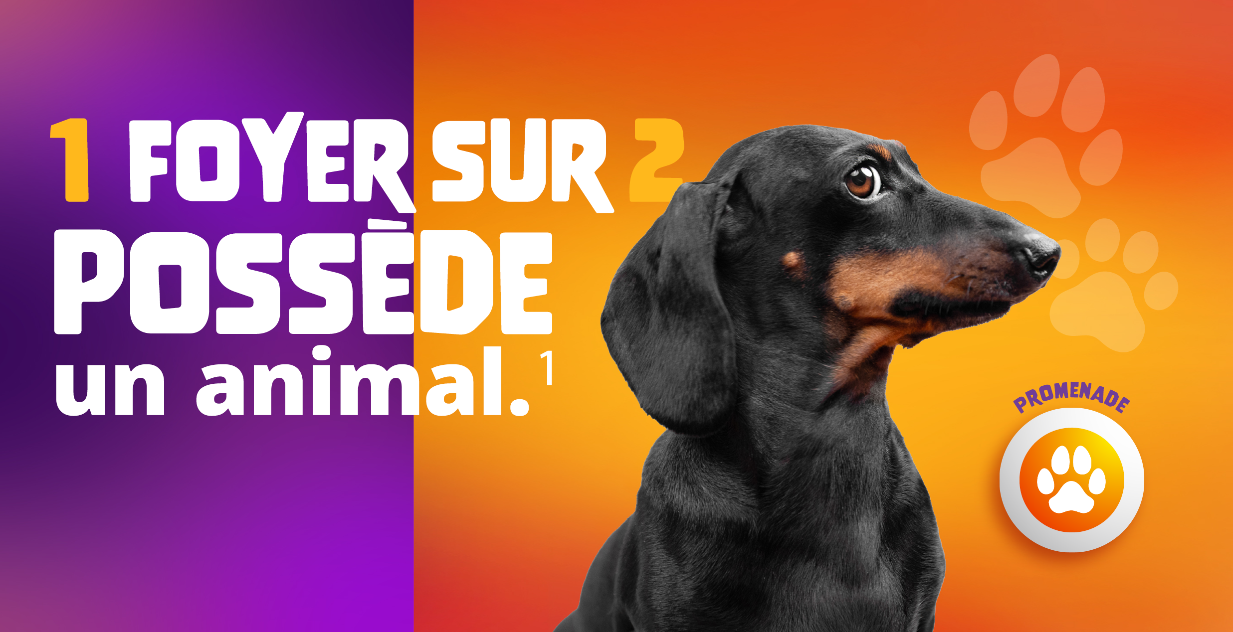 Eadv Vétérinaire - Laboratoire Pharmaceutique- Viatris