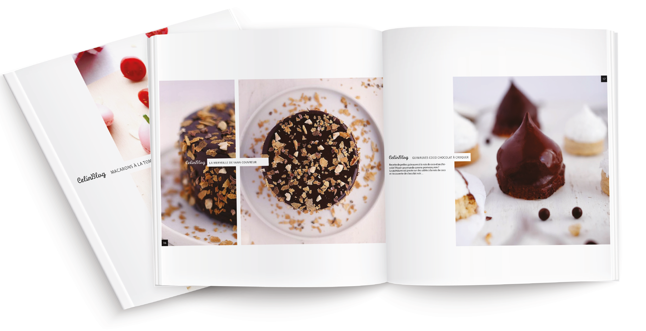 Blogueuse Culinaire, CelinBlog